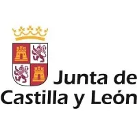 Junta de Castilla y León email format