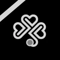 Arab Hospitals Group