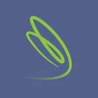 Dragonfly Strategists