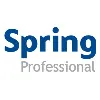 Spring Professional