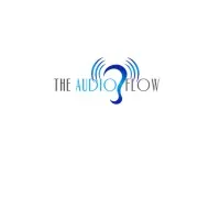 The Audio Flow, LLC The Audio Flow, LLC