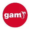 GAM - Solutions GAM - Solutions