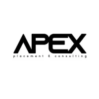 Apex Placement & Consulting