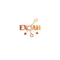 EXOAH LIMITED 
