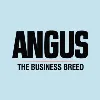 American Angus Association American Angus Association