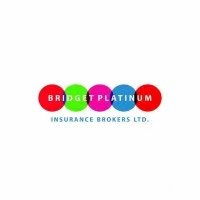 Bridget Platinum Insurance Brokers Limited