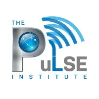 The PuLSE Institute The PuLSE Institute