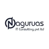Naguruas IT Consulting Pvt Ltd