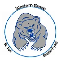 OZARK MOUNTAIN SCHOOL DISTRICT