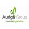 Auriga Group Auriga Group