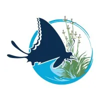 Swallowtail