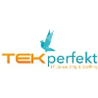 TEKperfekt Inc - IT Consulting & Recruiting