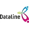 Dataline LLC