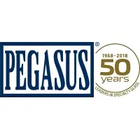 Pegasus Glass