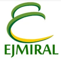 EJMIRAL Aviation Systems
