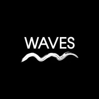 WAVES MANAGEMENT