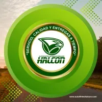 Autofletes Internacionales Halcon