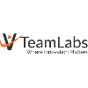 VTeamLabs LLC VTeamLabs LLC