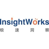 InsightWorks极速洞察