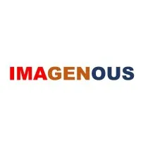 IMAGENOUS ENGINEERING PRIVATE LIMITED