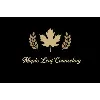 Maple Leaf Counseling Maple Leaf Counseling