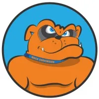 Online Visibility Pros