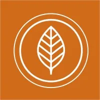 Black African Organics - Natural Skin and Hair Care