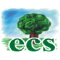 Expert Consulting Services