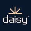 Daisy Orange County Daisy Orange County