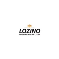 Lozino investments