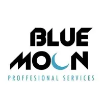 Blue Moon Professional Services