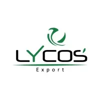 Lycos Export