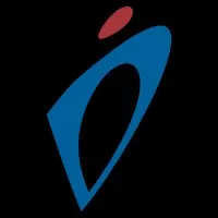 Digital Intelligence Professional Services