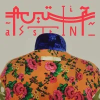 aassttiinn.com
