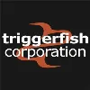 Triggerfish Corporation Triggerfish Corporation