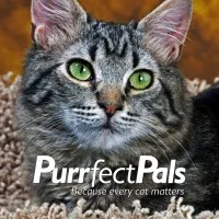 Purrfect Pals Cat Sanctuary & Adoption Centers