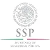 Secretariat of Public Security Secretariat of Public Security