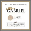Gabriel Builders Family of Companies Gabriel Builders Family of Companies