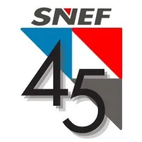 Singapore National Employers Federation (SNEF)