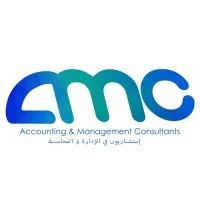 Accounting and Management Consultants