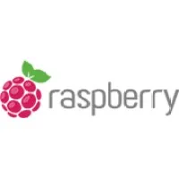 Raspberry Info Systems Pvt Ltd