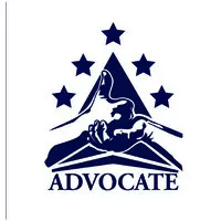 Progressive Independence Inc Progressive Independence Inc