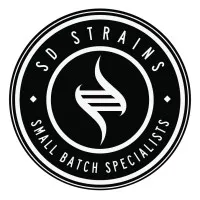 SD Strains