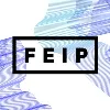 Дальневосточный Интеллектуальный Потенциал - FEIP