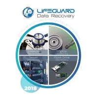 LifeGuard Data Recovery - UAE LifeGuard Data Recovery - UAE
