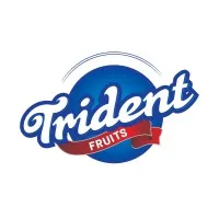 Trident Fruits Official