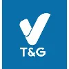 V T&G V T&G