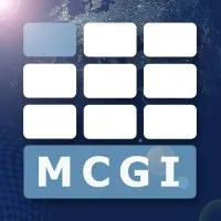 Mindlin Consulting Group, Inc Mindlin Consulting Group, Inc