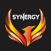 Synergy- Sports Society of IGDTUW Synergy- Sports Society of IGDTUW