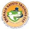 EMERALD SAFETY TRAINING L.L.C EMERALD SAFETY TRAINING L.L.C